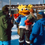 Hiver en fête