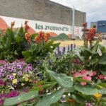 Du mouvement au sein du CA